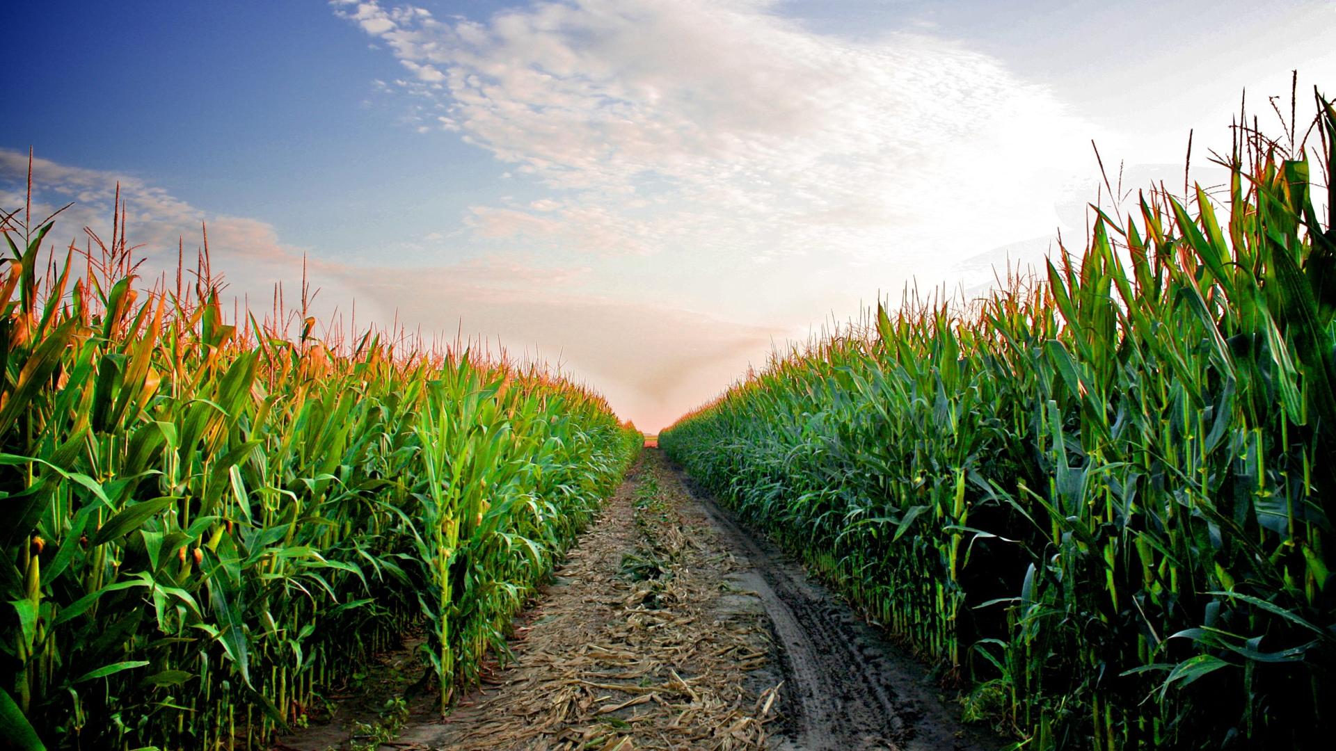 Farmers Get it Done Every Day