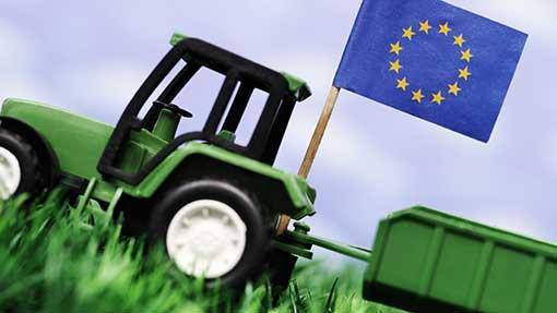 Cultivating Biotech Crops in the EU