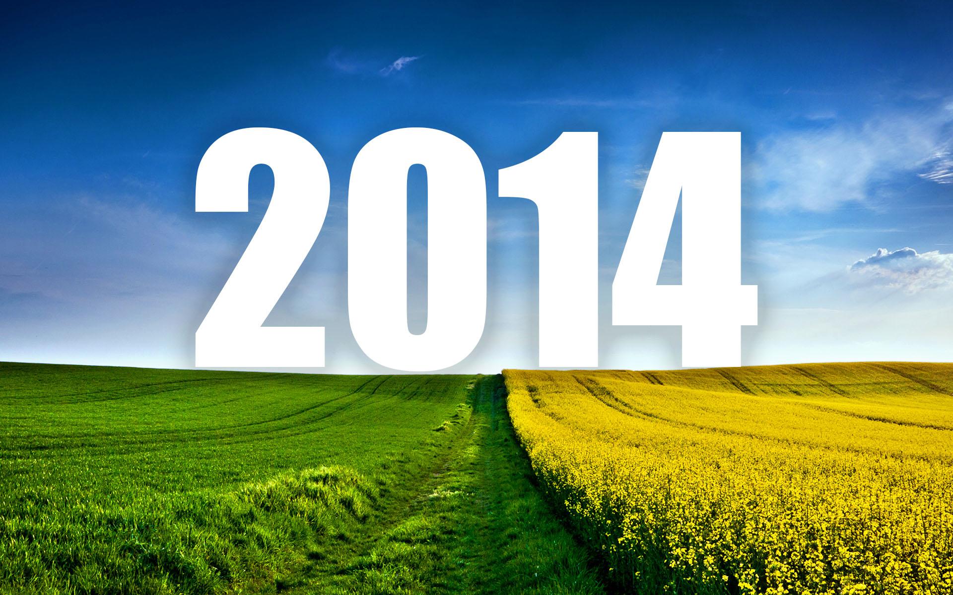 2014 in Review