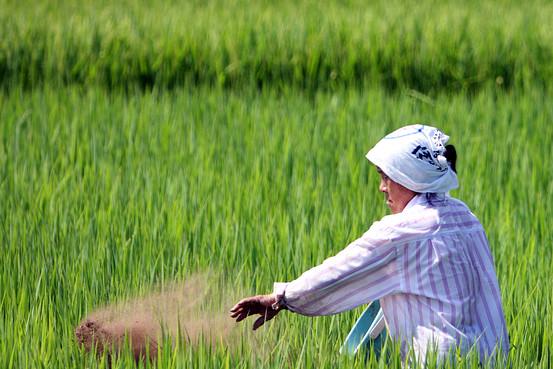 Impact of the TPP on the Japanese Agri-Food Sector