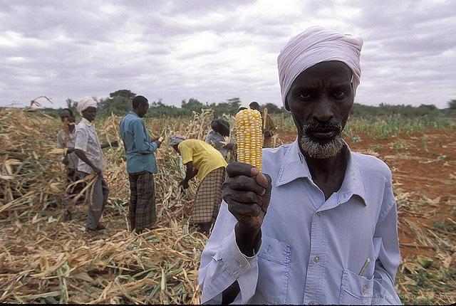 Africa is a Breadbasket of Opportunity