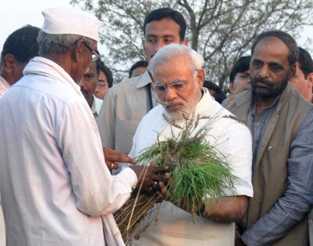 India Moves Ahead With Biotech Crop Field Testing