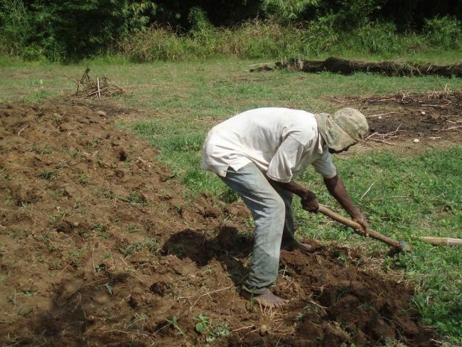 Rural Women Farmers in Africa can do Better When Given Access to Technology