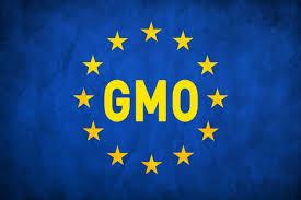 Changes in EU Crop Biotech Import Policy
