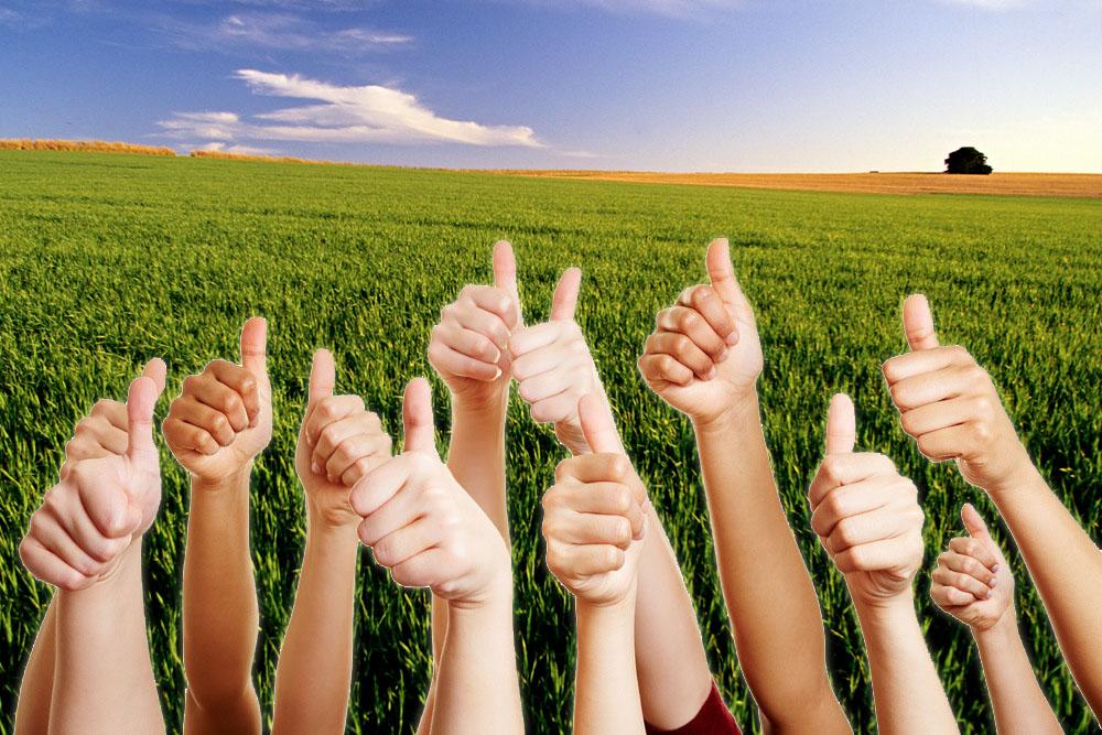 EU Considering Import Opt-Out for Biotech Crops