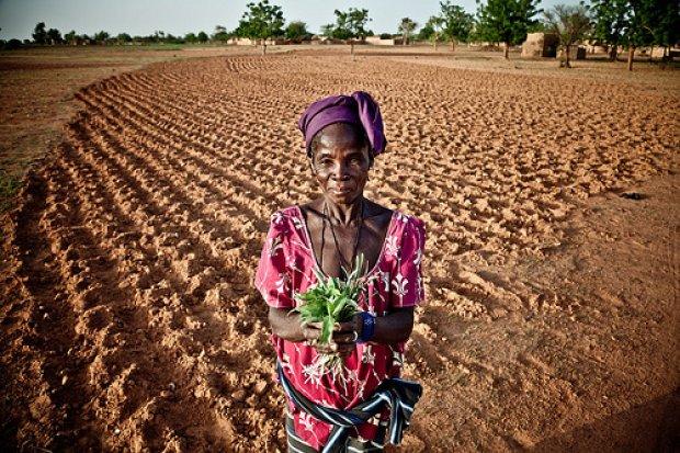 Peace is Good for Food Security