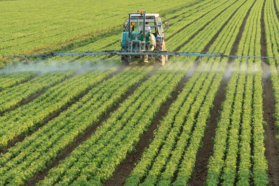 The consequence of poor regulation – is it really understood and who pays – farmer, consumer or environment.