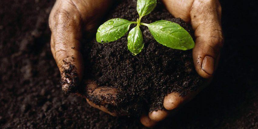 Taking Care of the Soil is a Gift for Our Children