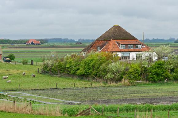 Europe Needs an Open Dialogue About GMOs that Includes Farmers