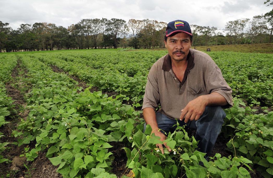 Farmers are the Musicians of the Land