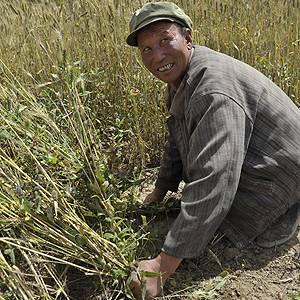 Ag, biotech, trade news of interest this week (Apr 4)