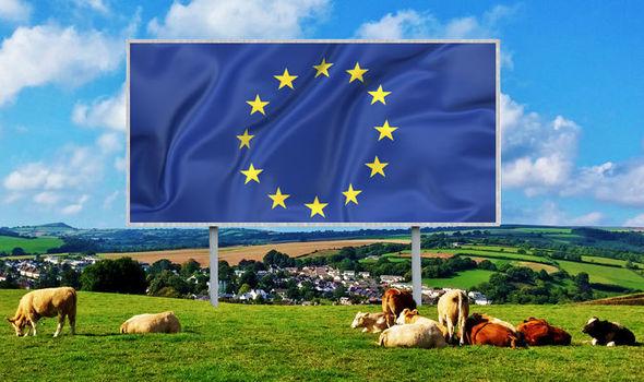 Getting On With It Post Brexit