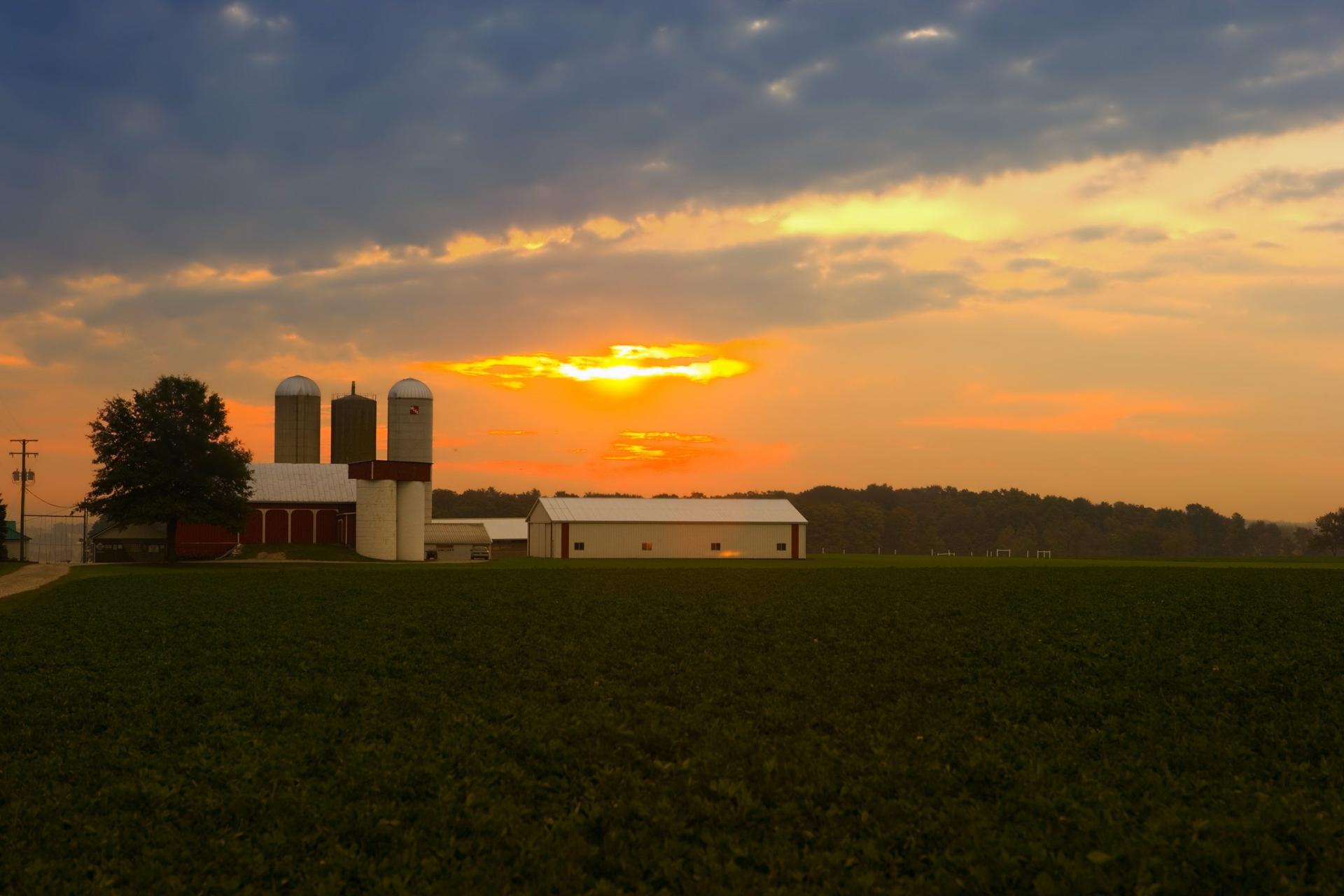 A Farmer’s Journey to Always Be Better