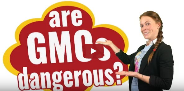 Video: Are GMOs Dangerous? (via The Feeding Tube)