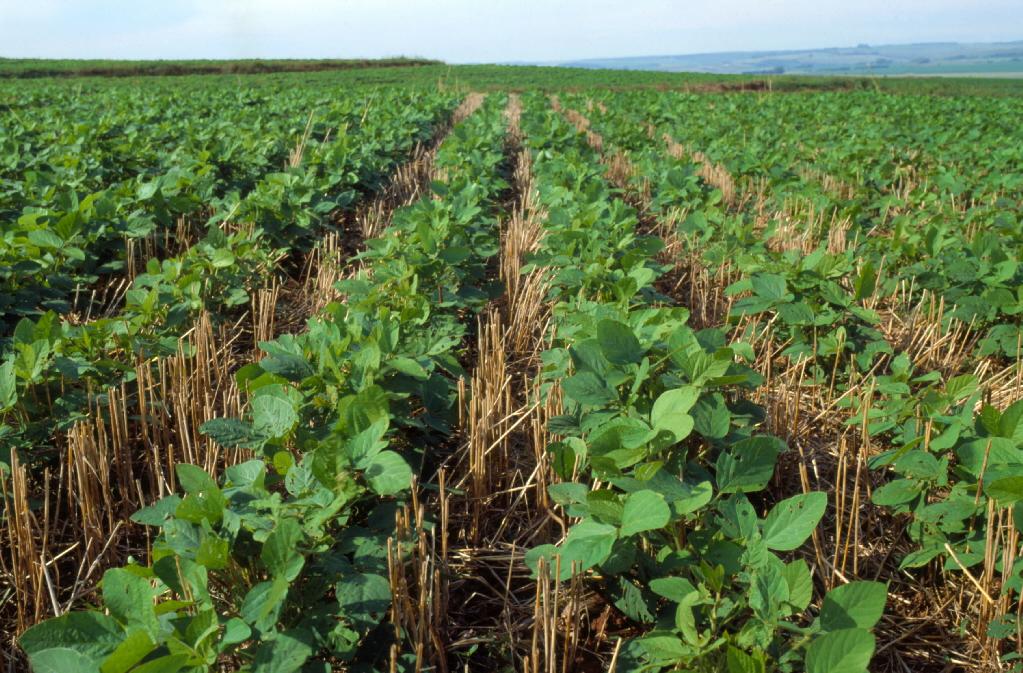 Advocating for Agriculture On A Changing Planet