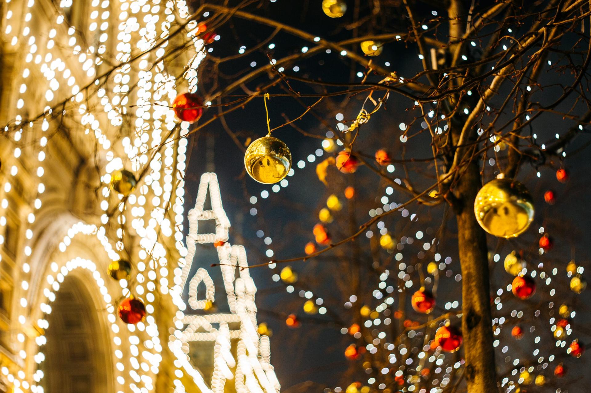 News items over the holidays (Dec 19-31)