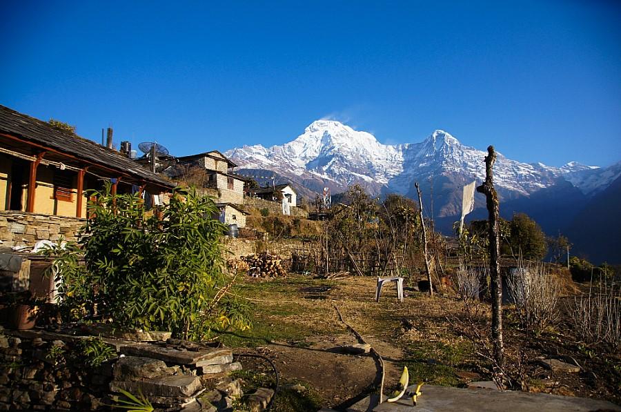 Agroforestry in Nepal is Sustainable Agriculture
