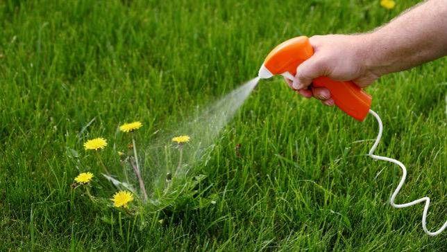 "Deep Dive" Looking At Glyphosate