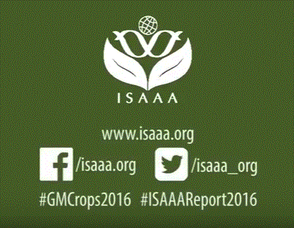 Video: Highlights of the 2016 ISAAA Report