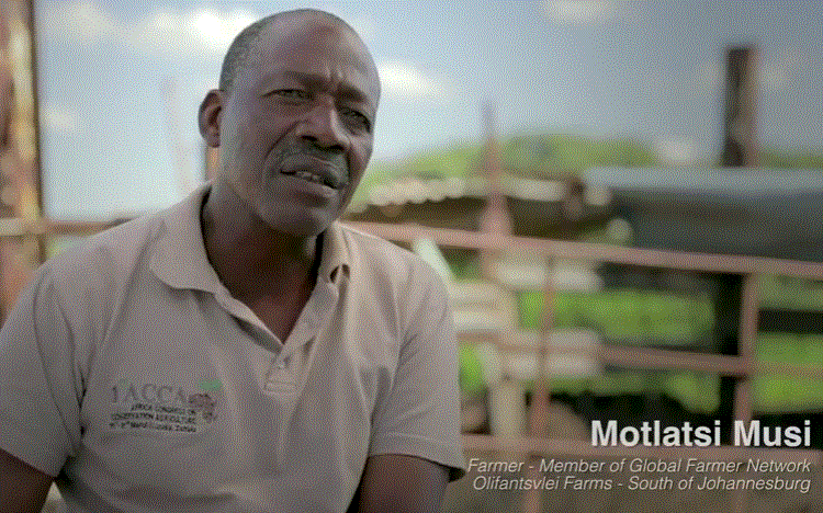 Video: "Telling the story of GMOs" includes S. African GFN members