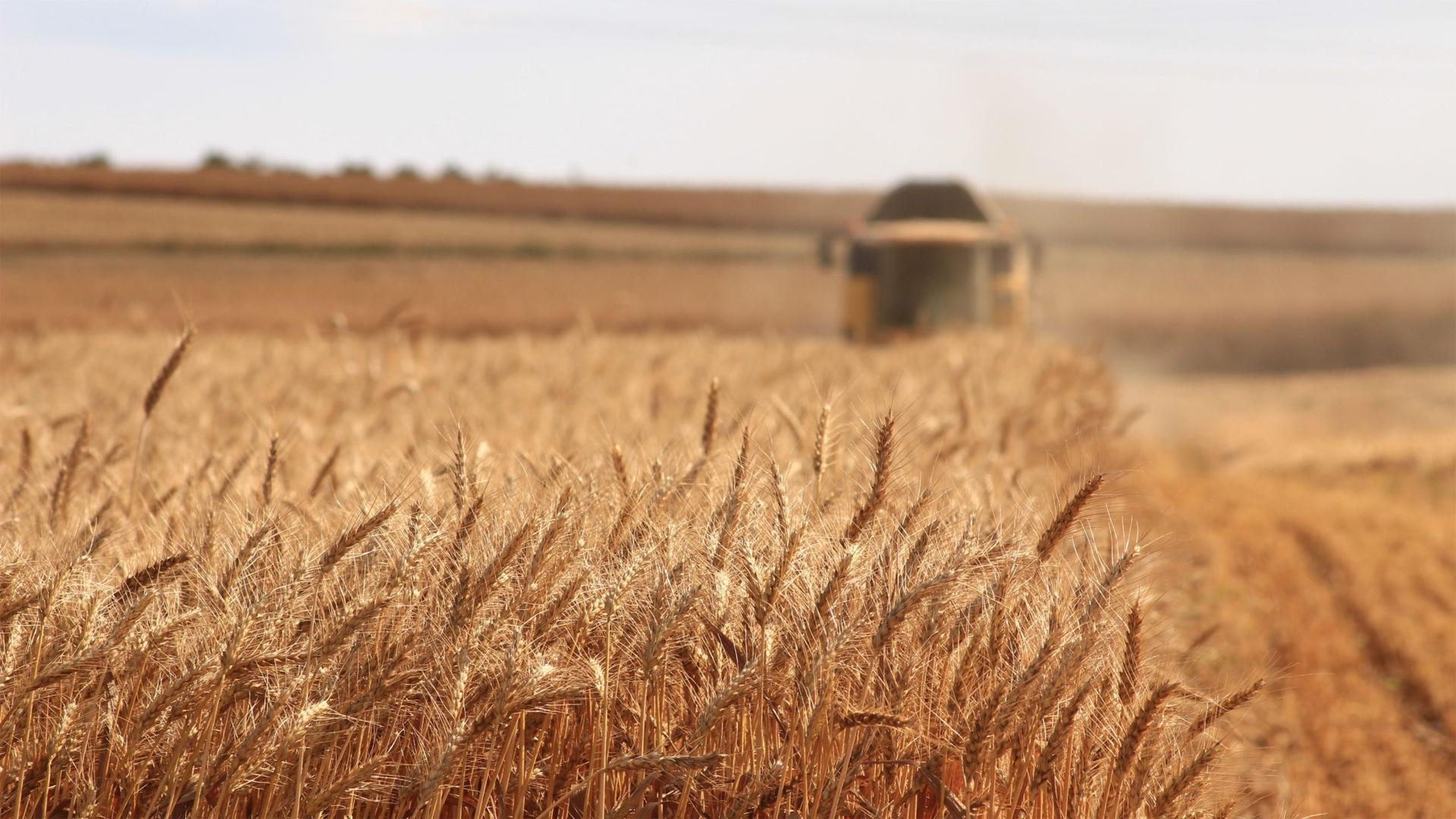 Choosing Technology to Enhance Sustainability