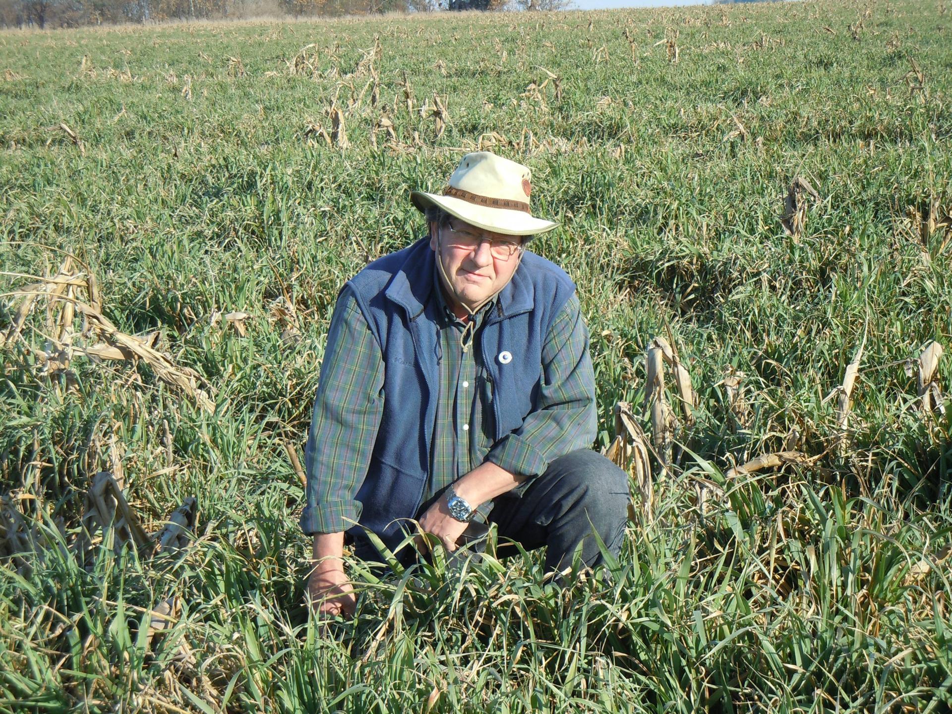 20 Tips for a Dynamic No-Till System