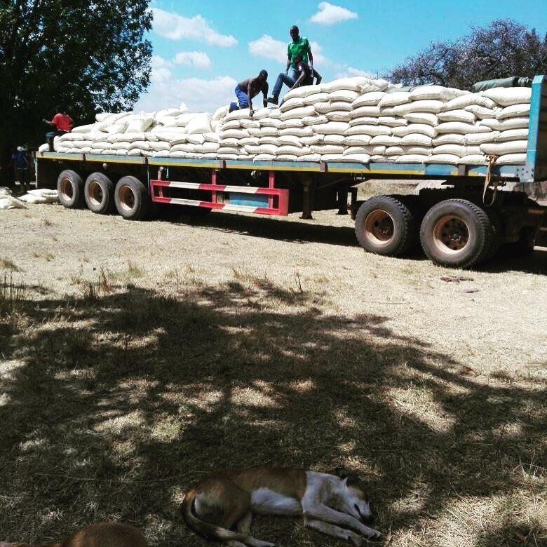 Women Embracing Agriculture in Zimbabwe With Optimism