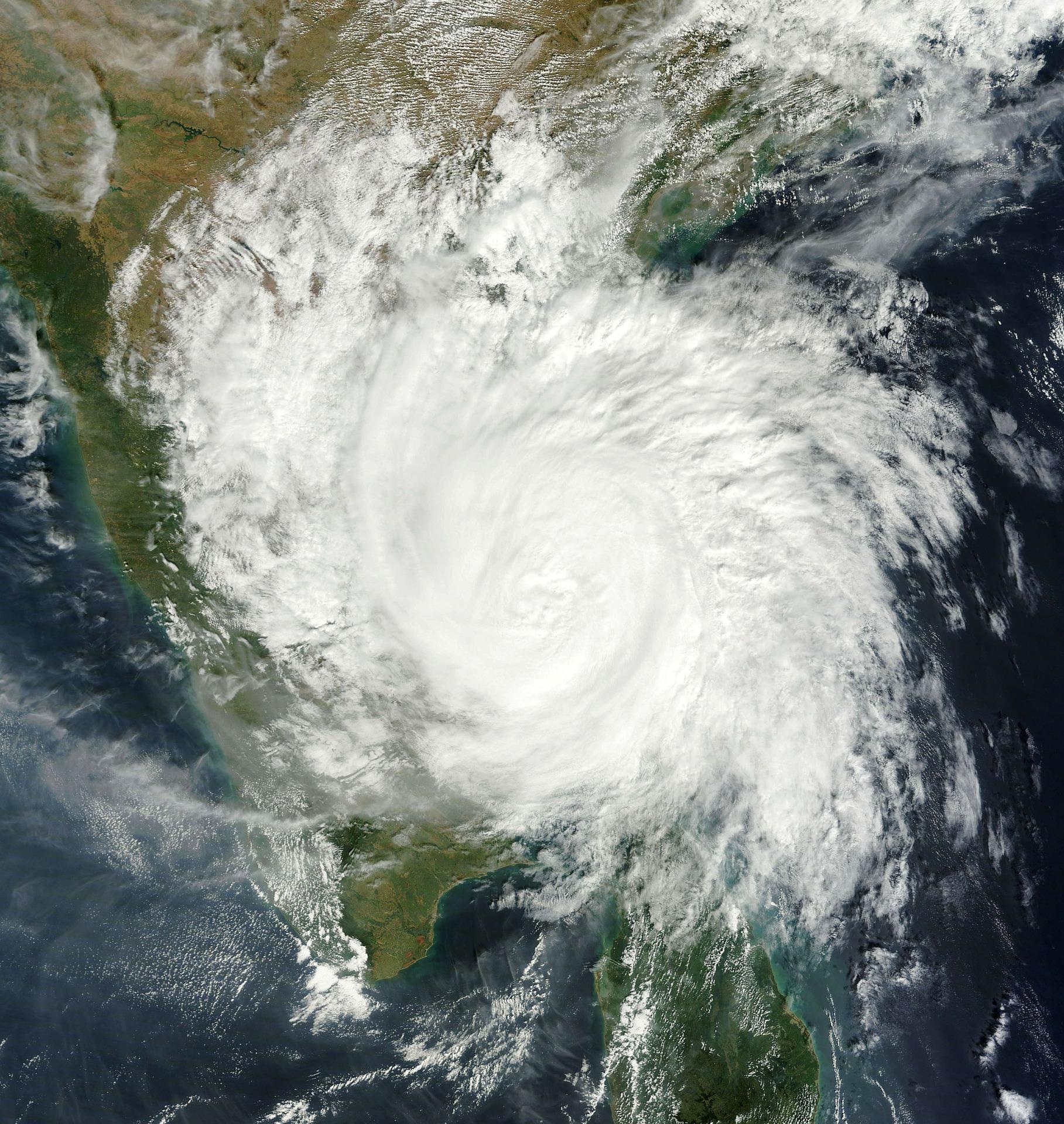 Again: Hurricane Harvey and now Irma hit US ag - news for week of Sept 11