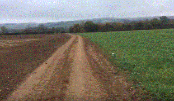 Video: UK Farmer's View "No-Till And Glyphosate"