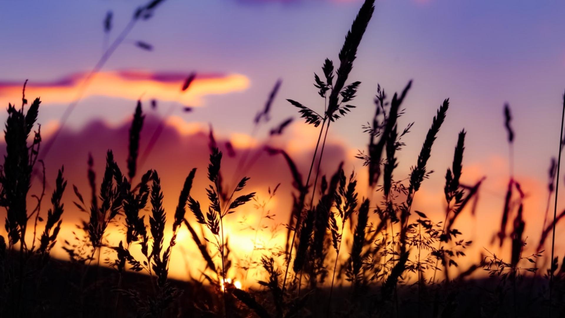 Clock ticking on tariffs, and sun is setting on 'Must Read' - news for weeks of Apr 30 & May 7