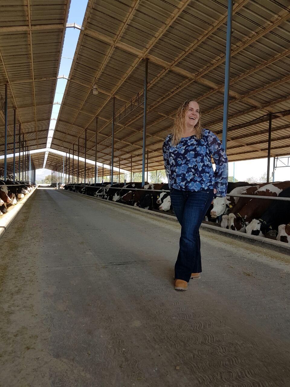 Impact of the U.S.-Mexico-Canada Agreement on a Mexican dairy farm