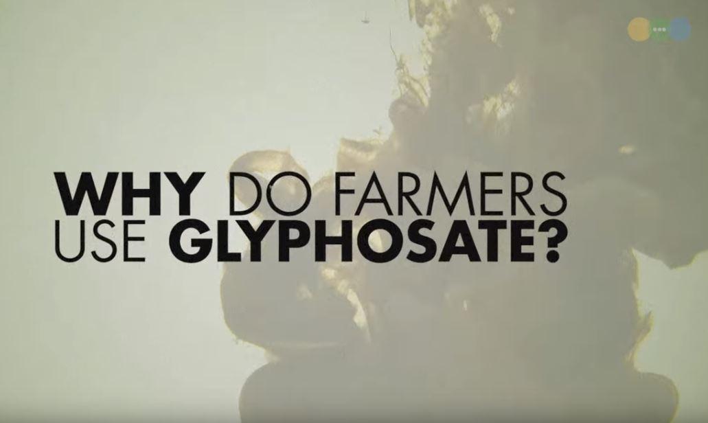 Video: "If Cancer, Why Glyphosate?"