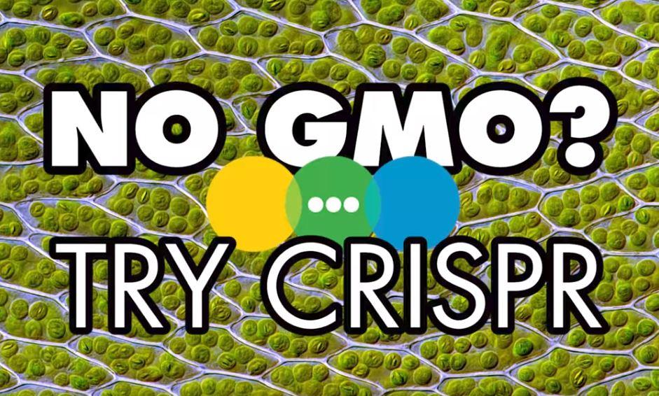 Video: "No GMO? What About CRISPR?"