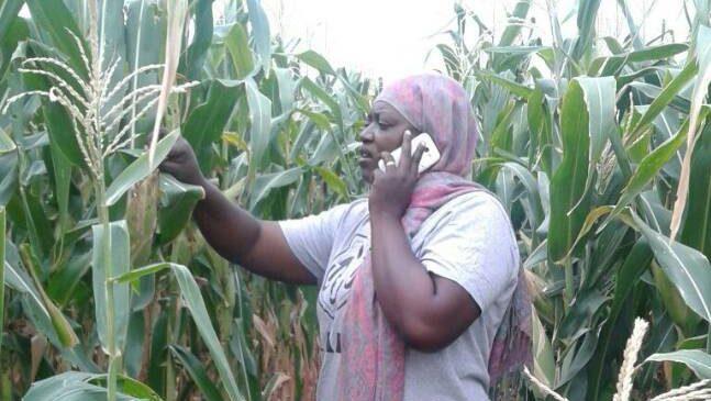 "Take It To the Farmer"—Patience Koku to Speak at 2023 Borlaug Dialogue
