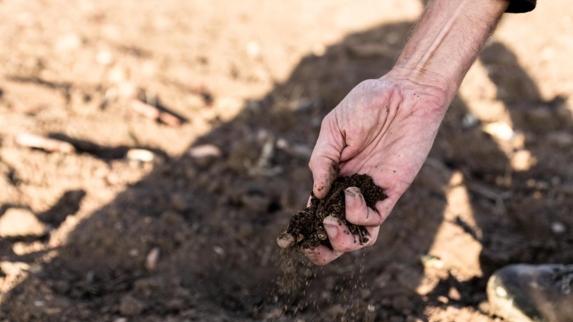 Market Access Uncertainty Creates Planting Uncertainty