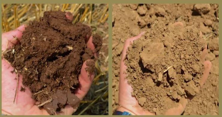 Farmer Views On Soil Health - Part 2