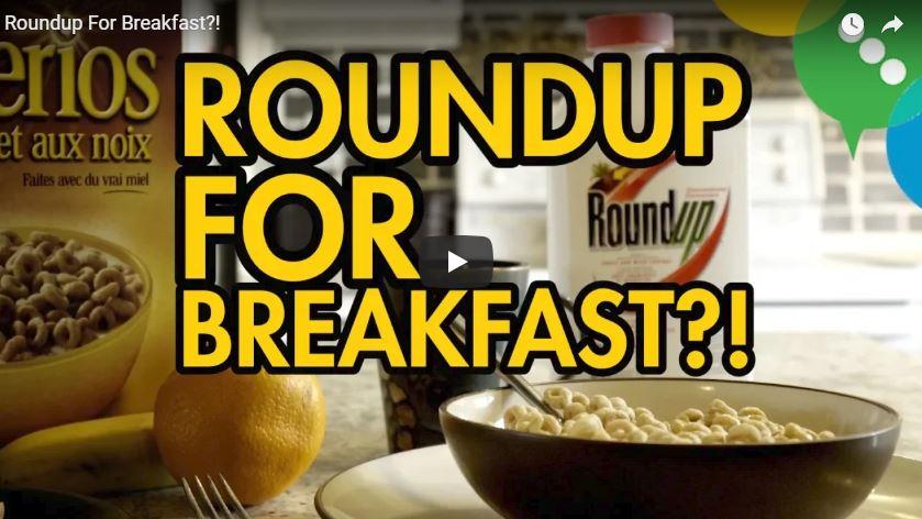 Video: "Roundup For Breakfast?!"