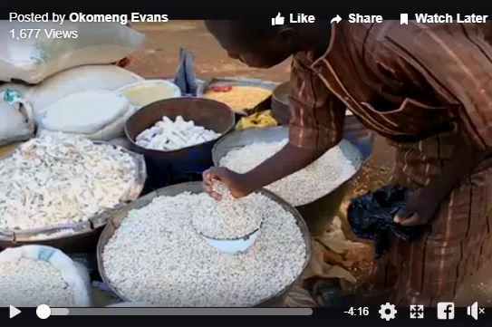 Video: Insect-resistant Bt cowpea
