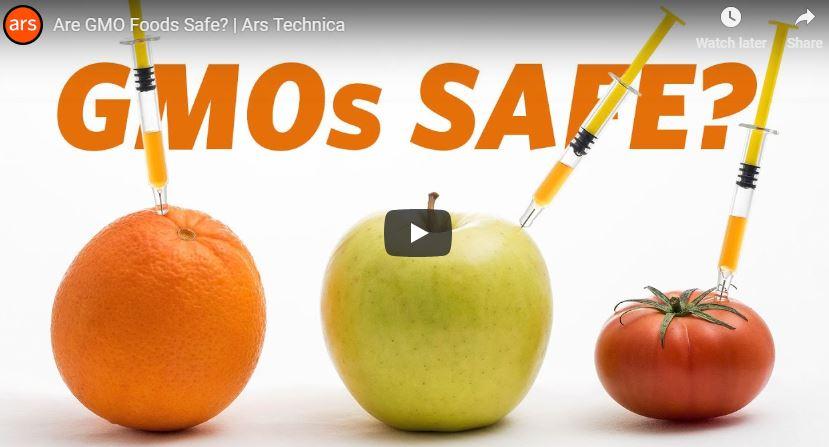 Video: Are GMO Foods Safe? (from Ars Technica)