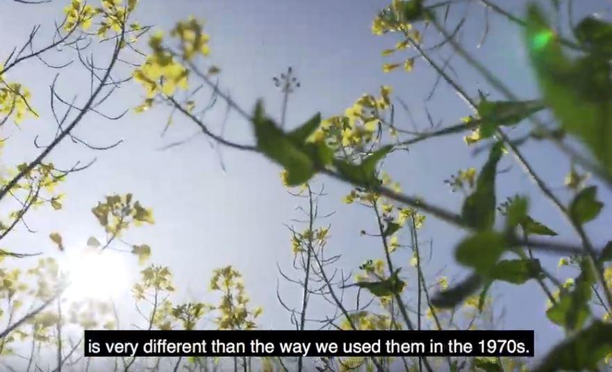 Video: Paul Temple on Using Pesticides