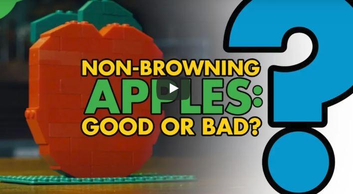 Video: "Non-Browning Apples: Say NO to PPO"