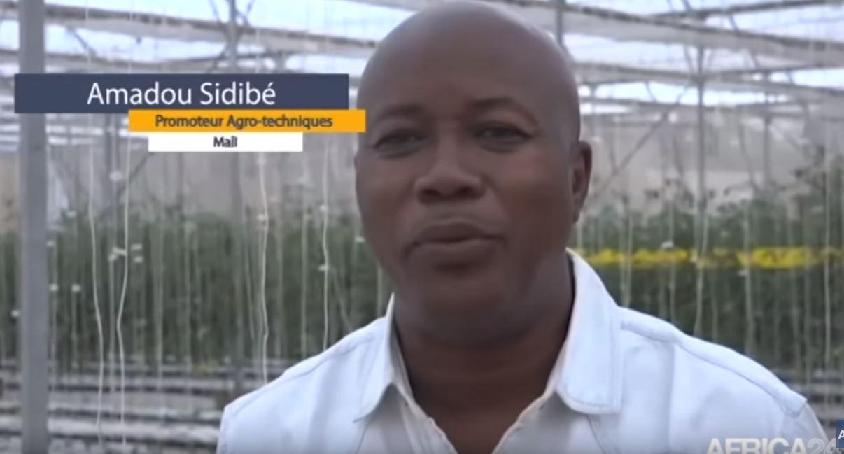 Interview - Mali: Amadou Sidibé, Promoteur de Sidibé Agro techniques