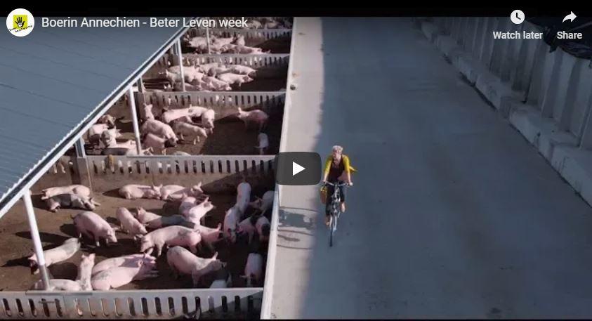 Video: Vote Hamletz!