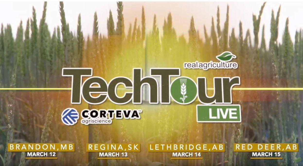 TechTour Live 2019 - Cherilyn Nagel