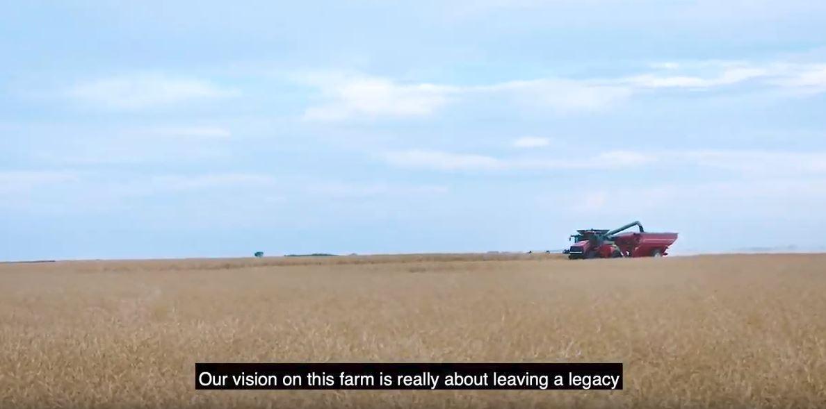 Video: Integrated Pest Management in Canola with Jake Leguee