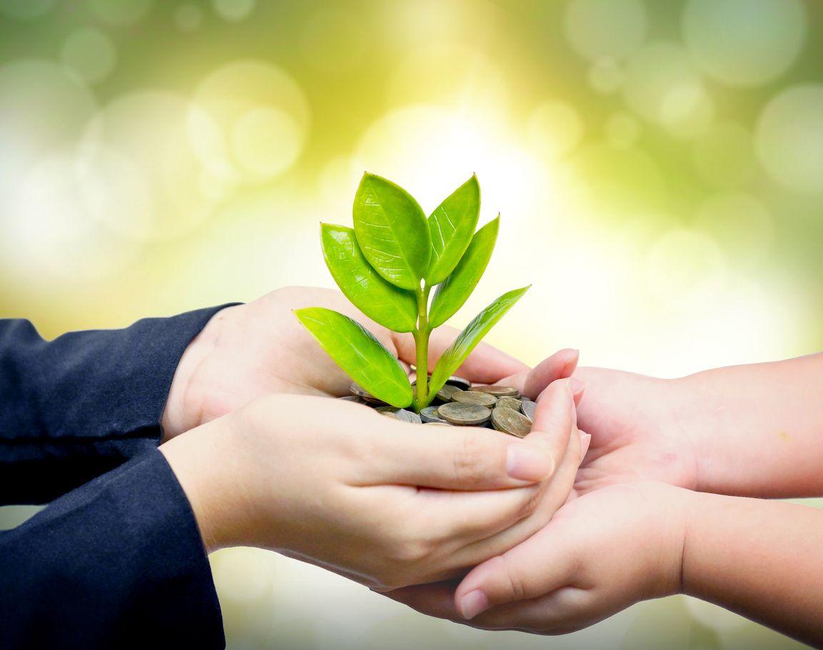 News Item: 'Feeding 10 Billion People Will Require Genetically Modified Food'