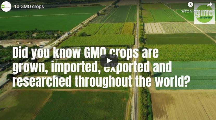 Video: 10 GMO Crops