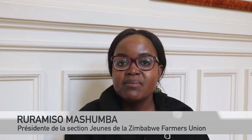 Video: Climate Change and Agriculture in Zimbabwe