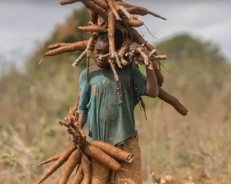 Food Insecurity in Africa is #Solvable