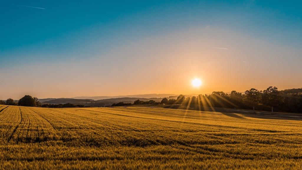 Live Video: The Future of Farming - October 14; 11:00 AM CST